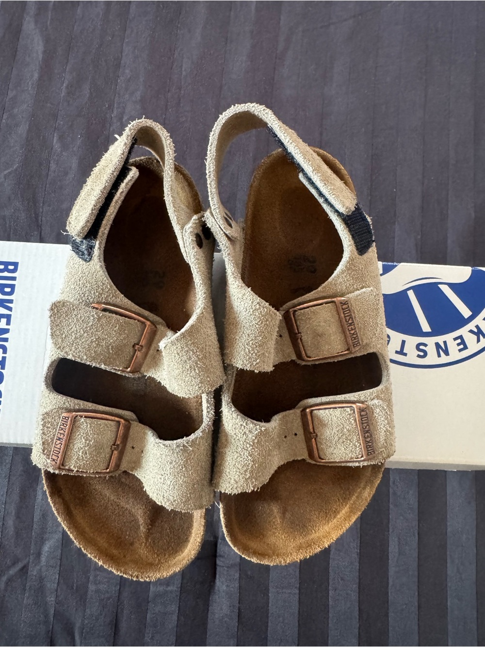 Birkenstock Kids Tan Suede Two-Strap Sandals with Heel Strap